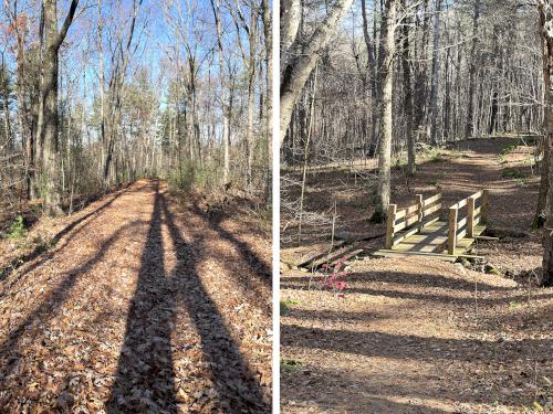 trails in November at Gelazauskas Preserve in southern NH