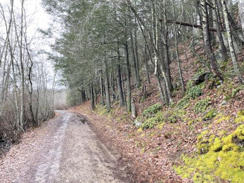 trail in March at Gordon College Woods in northeast MA