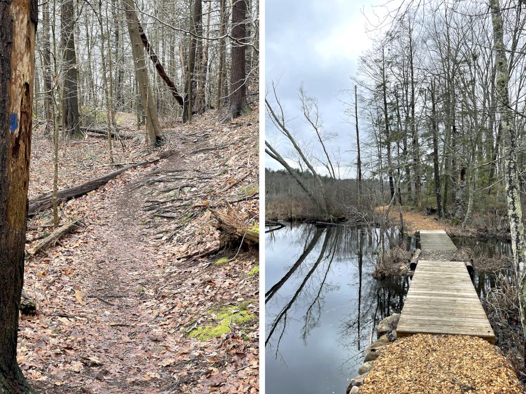 trails in March at Gordon College Woods in northeast MA