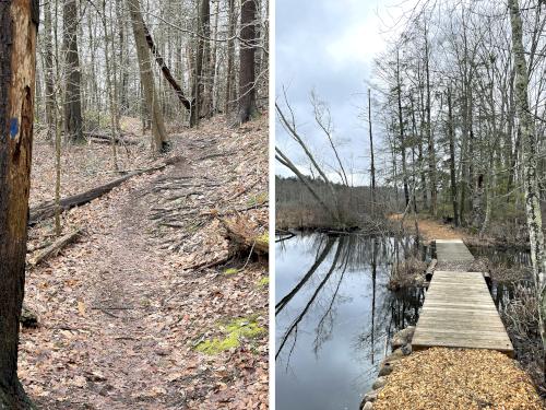 trails in March at Gordon College Woods in northeast MA