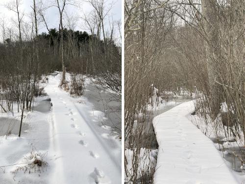 boardwalk in January at Grassy Pond Conservation Land in northeast MA