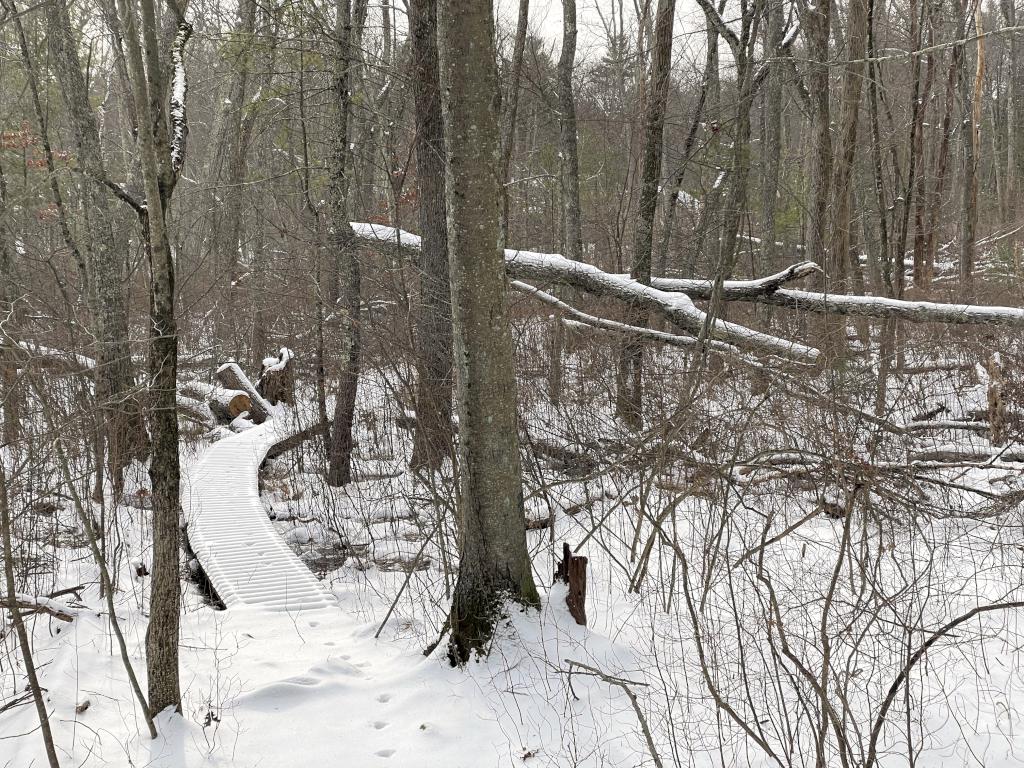 trail section in January at Grassy Pond Conservation Land in northeast MA