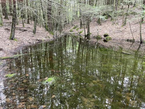 pool in June at Great Brook Trail in southern New Hampshire