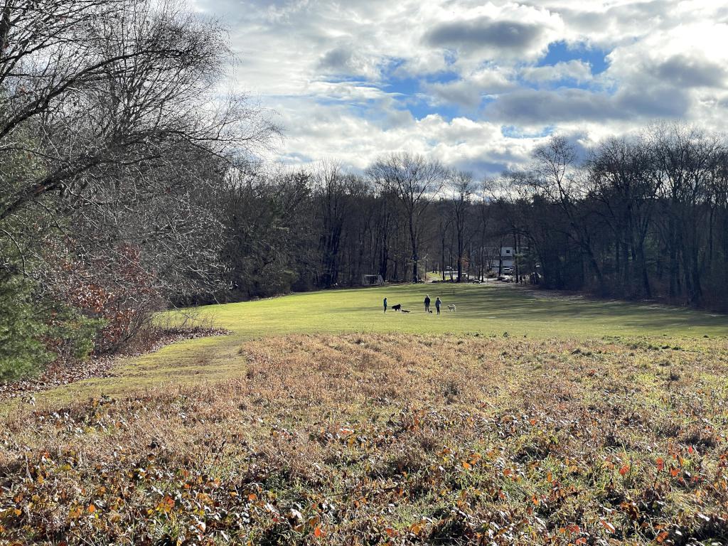 lawn in December at Great Hill in eastern MA