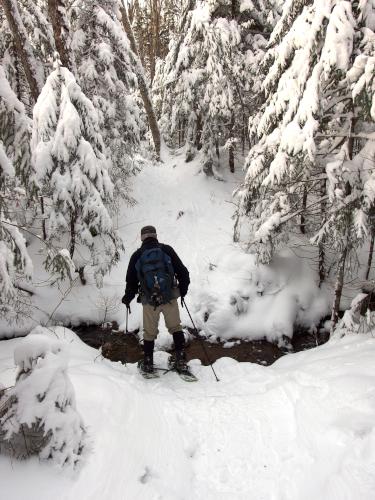 Len crosses a brook in December at Greeley Ponds near Lincoln in central New Hampshire