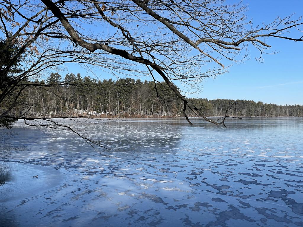 pretty view in January at Haggetts Pond in northeast MA