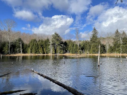 Double Dammed Pond in November at Hamlin Conservation Area in New Hampshire