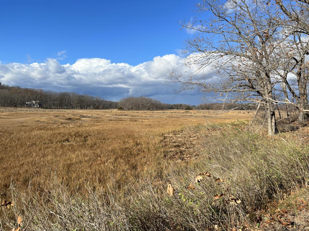 marsh view at Hamlin Reservation in northeast Massachusetts