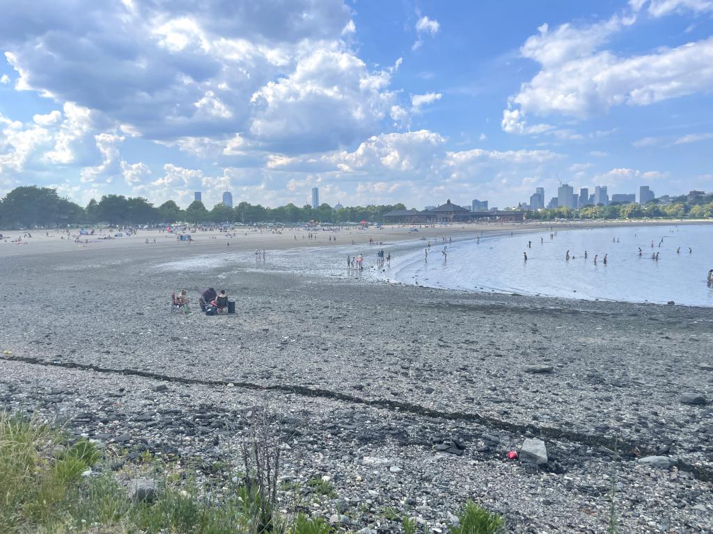 low tide in June beside Boston Harborwalk in Massachusetts