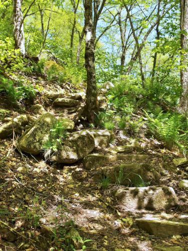 stone steps at Harmon Hill in southern Vermont