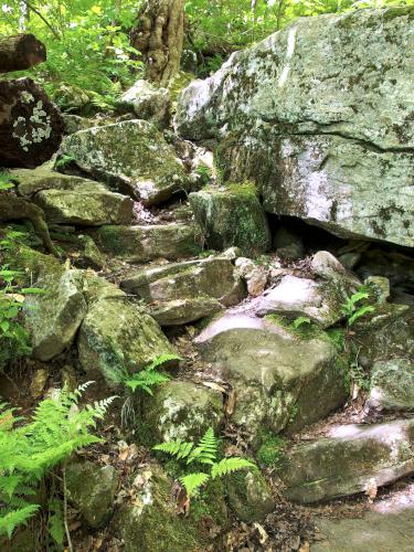 stone steps at Harmon Hill in southern Vermont