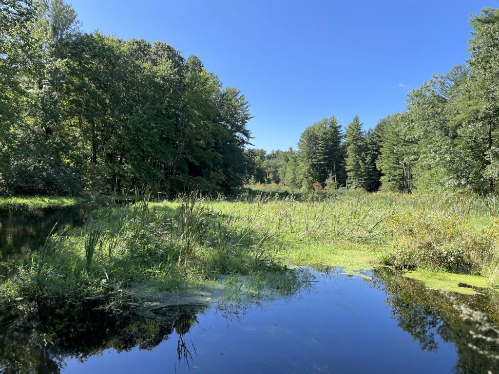 brook in September at Hartwell Preserve in northeast MA