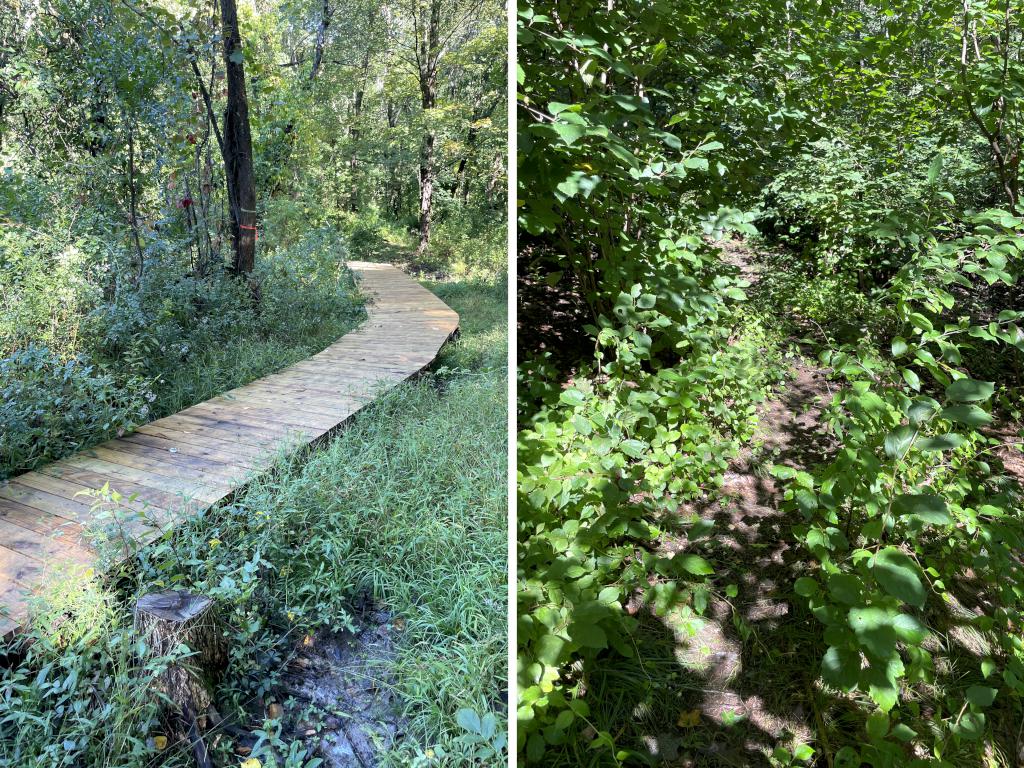 trails in September at Hartwell Preserve in northeast MA