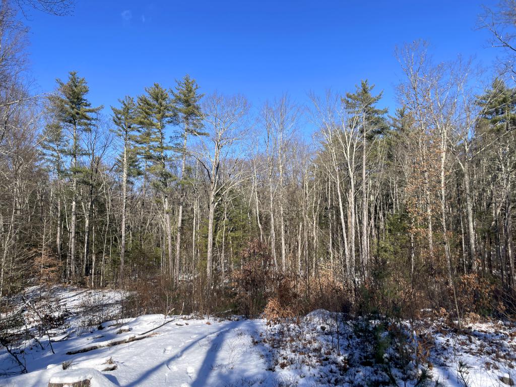 view in December at Haseltine Community Preserve in southern NH