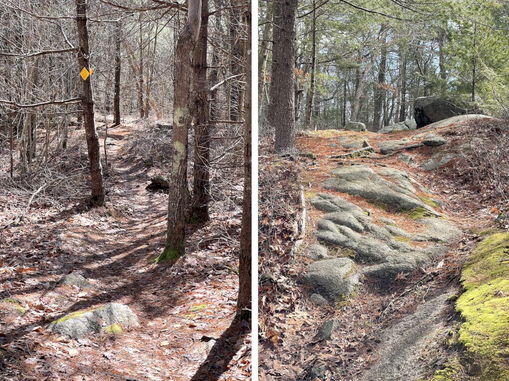 trails in March at Haskell Pond Loop in northeast MA