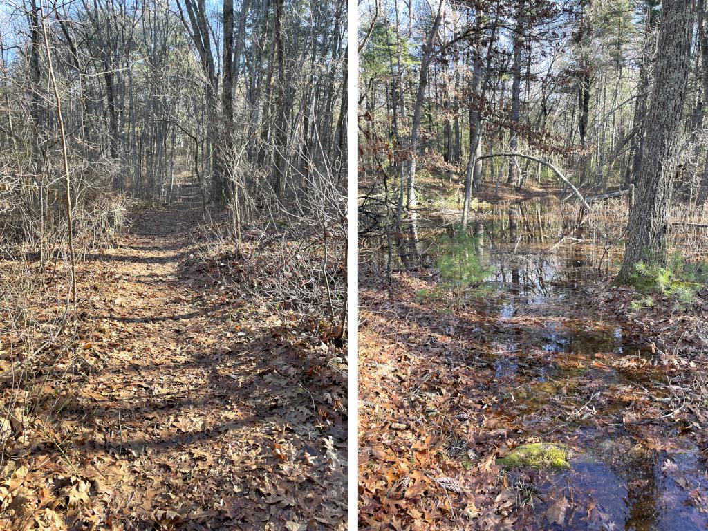 smooth and flooded trails in December at Hazel Brook in eastern MA