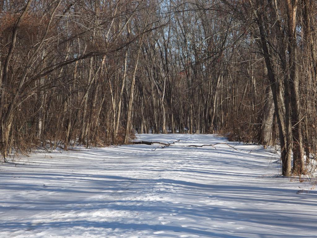 trail in January at Healy Park near Concord in southern New Hampshire