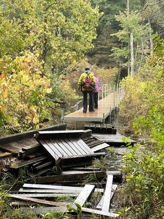 footbridge in September 2023 at Heath Hen Meadow near Acton in northeast MA