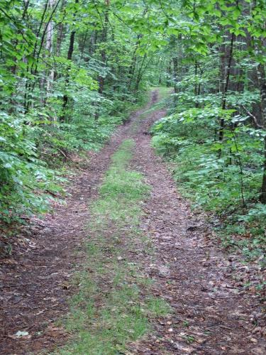 dirt road at Hoyt Hill near Bristol in western New Hampshire