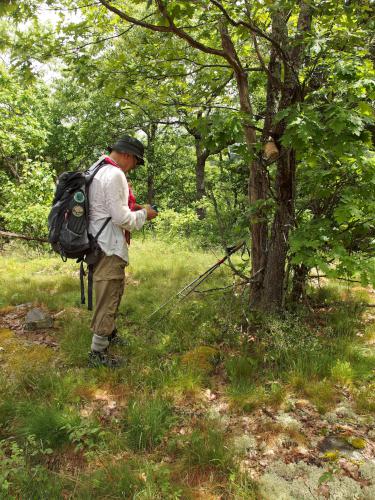 Dick as the summit canister on Hoyt Hill near Bristol in western New Hampshire