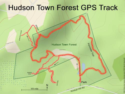 GPS track in July at Hudson Town Forest in southern NH