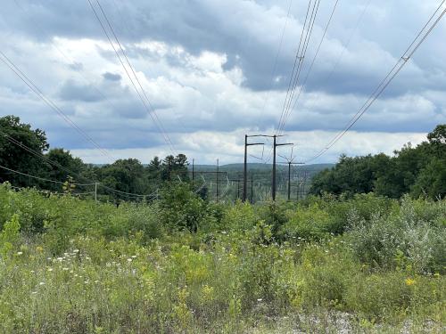 powerline swath in July at Hudson Town Forest in southern NH