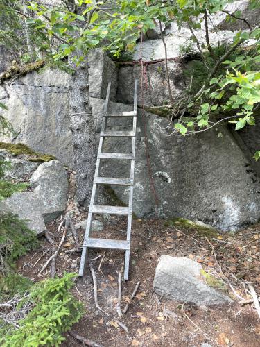 trail in September at Hurricane Island in Maine