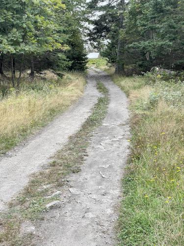 road in September at Hurricane Island in Maine