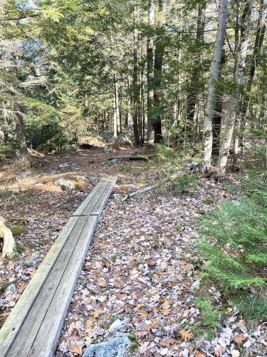 trail in December at Isinglass River Conservation Reserve in southern New Hampshire