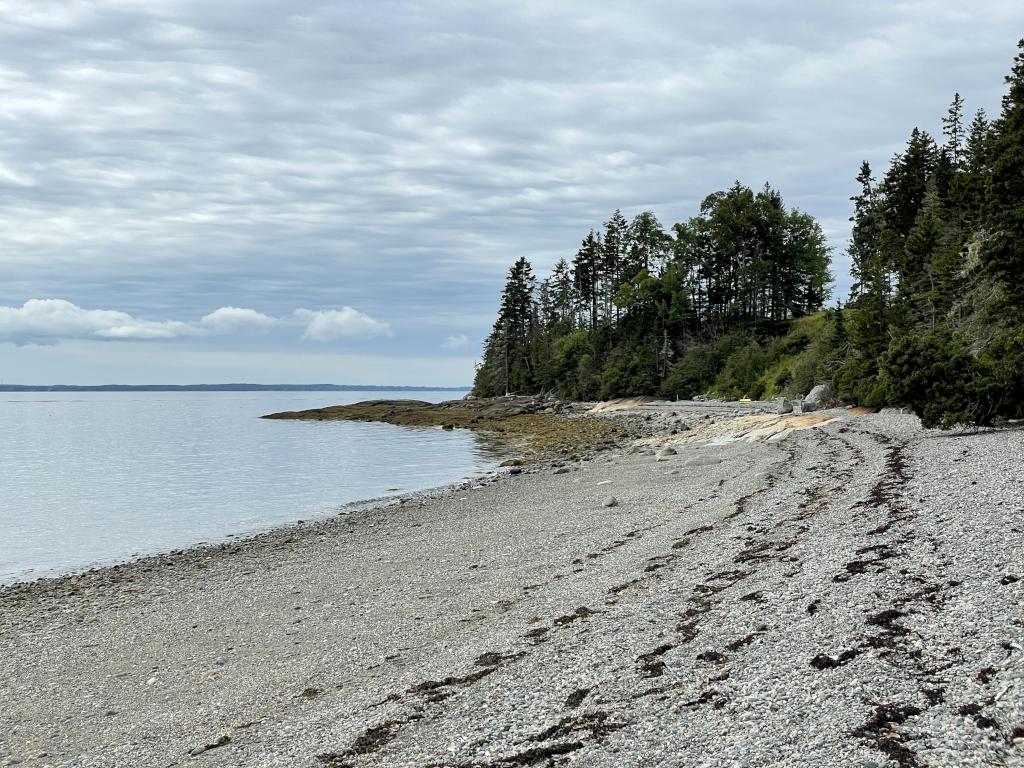 beach in July at Islesboro Island in Maine