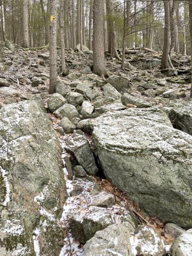 trail in January at Jacobs Hill in north central Massachusetts