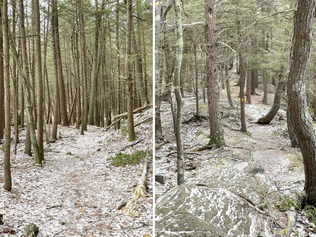 trails in January at Jacobs Hill in north central Massachusetts