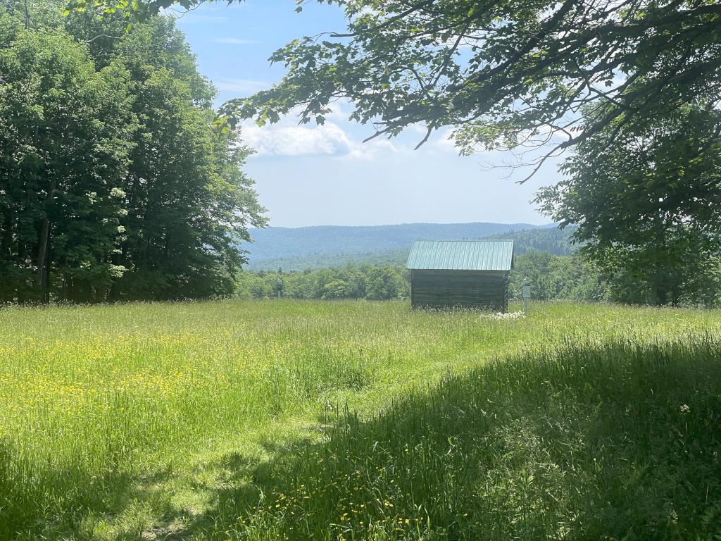 Trela Shelter in June at Judges Hill in western MA