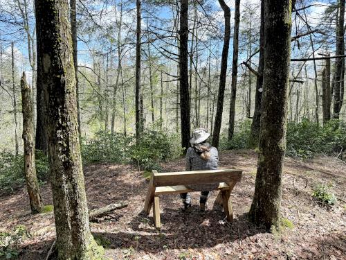 bench in May at Katie Metzger Town Forest near Fitzwilliam in southwest NH