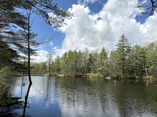 pond view in May at Katie Metzger Town Forest near Fitzwilliam in southwest NH
