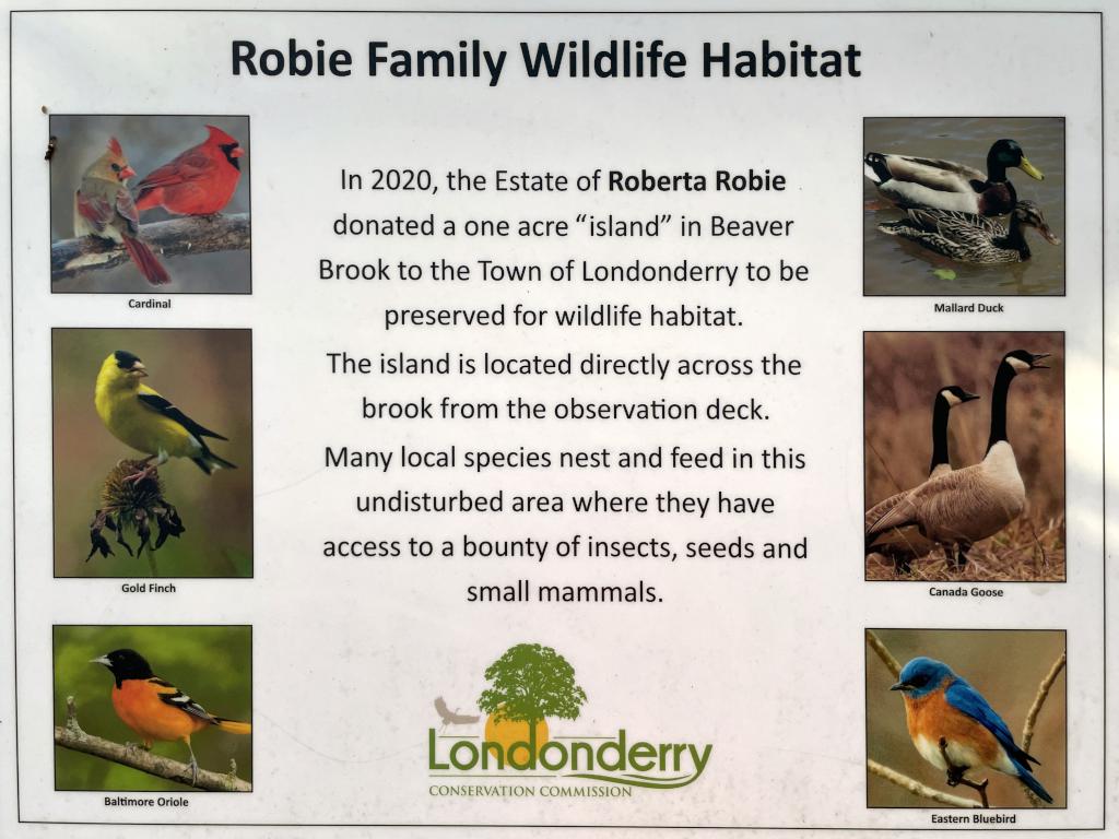 bird poster on the observation deck at Kendall Pond in southern NH