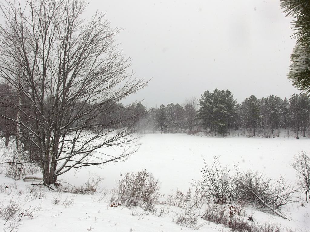 Day Brook in March at Kennebunk Plains Wildlife Management Area in southern Maine