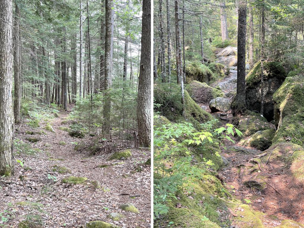 trails in June at Kettle Pond and Spice Mountain in northern VT