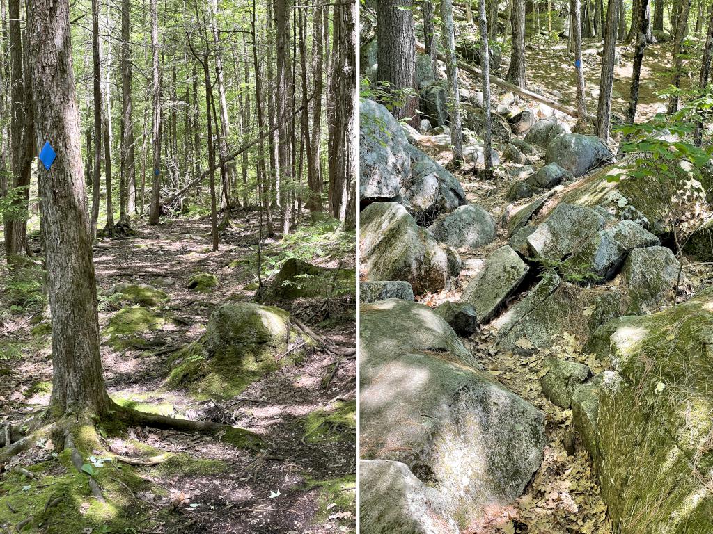 trail in June at Knights Pond Conservation Area near Wolfeboro in New Hampshire