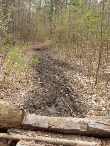 Green Trail at Lamson Farm in southern New Hampshire