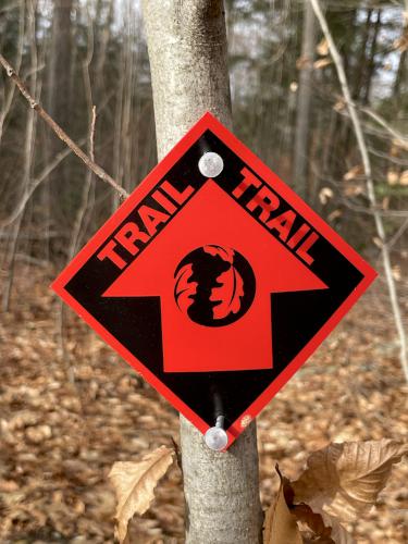 trail blaze in November at Lily Pond near Keene in southwestern New Hampshire