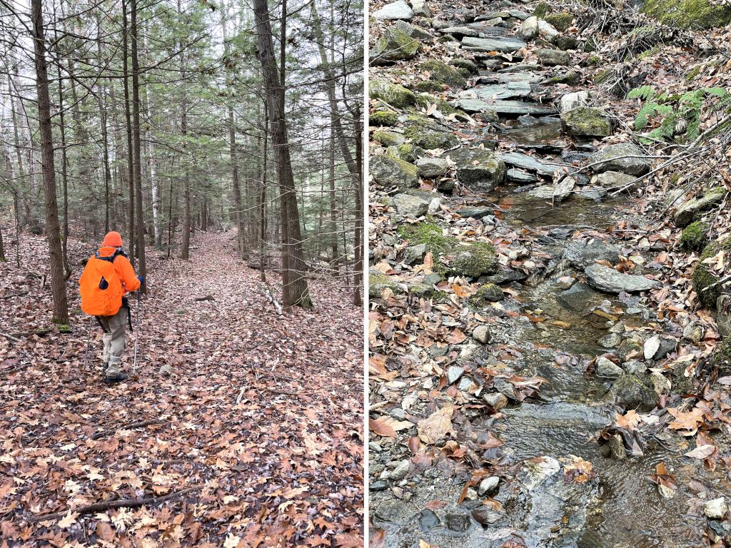 trails in November to Lily Pond near Keene in southwestern New Hampshire