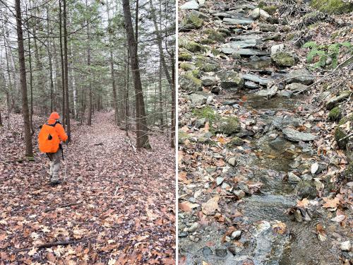 trails in November to Lily Pond near Keene in southwestern New Hampshire