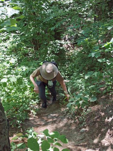 Andee climbs out of the quarry at Lime Kiln Quarry near Chelmsford in northeast MA