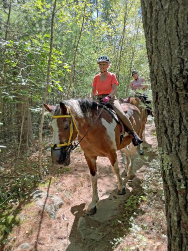 horse rider in August on Little Bear Trail at Bear Brook State Park in southern NH