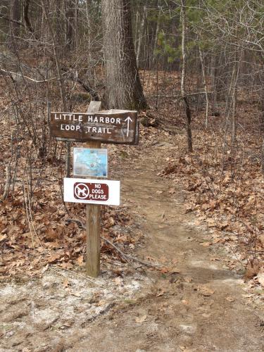 trail in March at Little Harbor Loop Trail in southeast New Hampshire