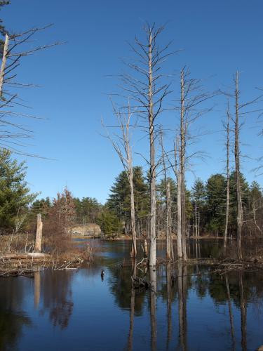 pond in April beside the Londonderry Rail Trail in southern New Hampshire