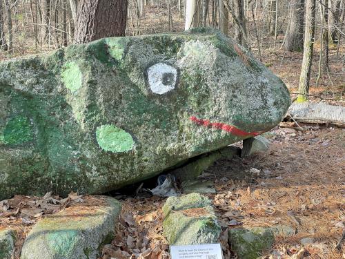 frog rock in December at Long Pond Trail in northeast MA