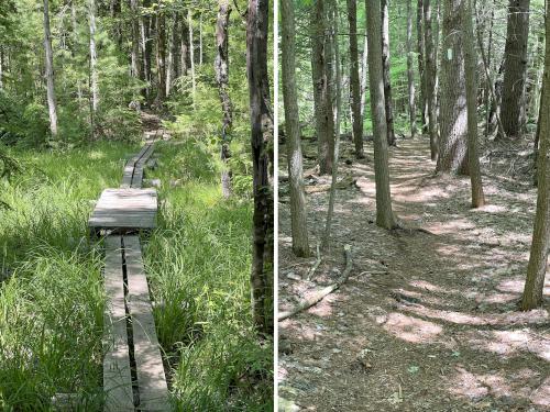 trails in June at Lovejoy Trails near Loudon in southern New Hampshire