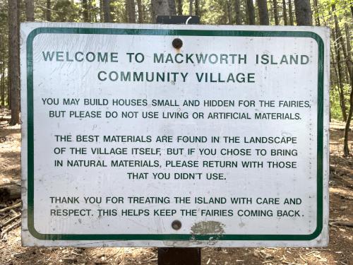 fairy woods in May at Mackworth Island near Portland in southern Maine